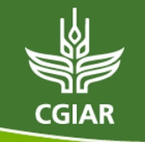 منظمة دولية متخصصة في الأبحاث الزراعية: اختبار انتقائي لتوظيف 5 تقنيين متخصصين في الانتاج النباتي متعاقدين. الترشيح قبل 31 يناير 2015