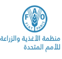 منظمة الأغذية والزراعة للأمم المتحدة بالمغرب: توظيف مسؤول عن برنامج ومساعد أو مساعدة. آخر أجل هو 10 يناير 2014