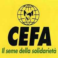 CEFA recrute 5 Agents de Terrain à Beni Mellal