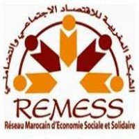 REMESS recrute un superviseur de projet