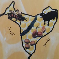 جماعة تدرارت - أكادير إداوتنان: مباراة توظيف تقني من الدرجة الرابعة تخصص المحاسبة. آخر أجل هو 16 ماي 2014