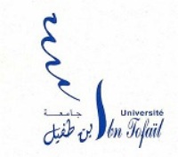 التسجيل بكليات جامعة ابن طفيل بالقنيطرة 2013/2014 