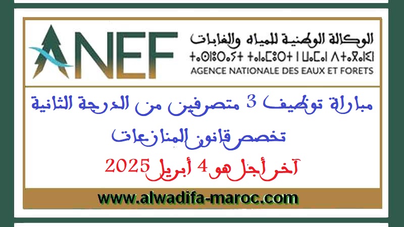 الوكالة الوطنية للمياه والغابات: مباراة توظيف 3 متصرفين من الدرجة الثانية تخصص قانون المنازعات. آخر أجل هو 4 أبريل 2025