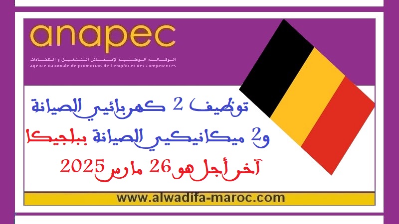 الأنابيك - سكيلز: توظيف 2 كهربائيي الصيانة و2 ميكانيكيي الصيانة ببلجيكا، آخر أجل هو 26 مارس 2025