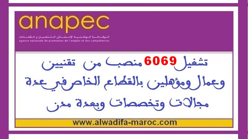 الوكالة الوطنية لإنعاش التشغيل والكفاءات: تشغيل 6069 منصب من  تقنيين وعمال ومؤهلين بالقطاع الخاص في عدة مجالات وتخصصات وبعدة مدن	