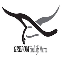 Le GREPOM/BirdLife Maroc recrute un Directeur exécutif