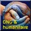 Organisation non gouvernementale (ONG)